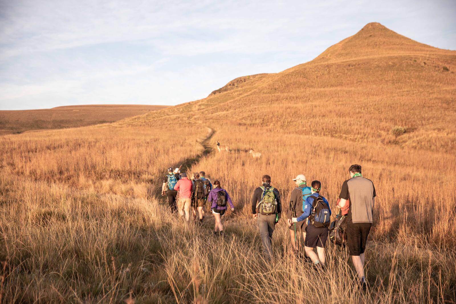 The group are covering between 20 and 35km each day